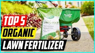 5 Best Organic Lawn Fertilizer in 2022