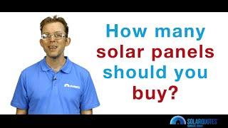How Many Solar Panels Should You Buy?