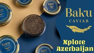 Caviar in Baku | Xplore Azerbaijan S1E70 4K