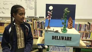 Delaware State Float by Shooting Star