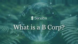 What is a B Corp?  |  Business as a Force for Good