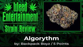 Algorythm - by Backpack Boyz / 5 Points - Review - January 2024