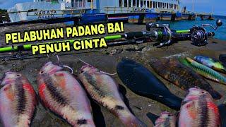 PELABUHAN PADANGBAI ‼️ MANCING PENUH STRIKE ‼️ SAMBARAN IKAN YANG GANAS ‼️