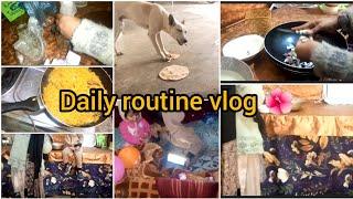 Pakistani mom daily routine vlog || 1 pot dinner bnya AJ 