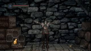 Dark Souls 2 Network Test: Player Test Animation