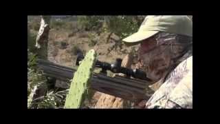 AIRGUN HUNT: Warthog in South Africa with the Ranger .45 Air Rifle