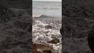 طبيعه الدنمارك بحرstrand VisitDenmark Bornholm sommer