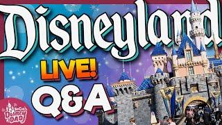 LIVE! Disneyland Q&A (or anything else you want to ask)