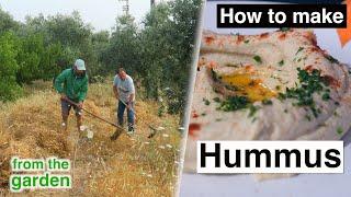 How to Make Hummus | From the Garden