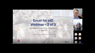 Excel for eID – using your data effectively