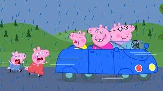 Daddy Pig don't abandon Peppa pig?! | Peppa Pig Funny Animation