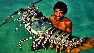 The Biggest Lobsters Ever Caught