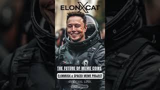 Fly High with ElonXCat and Explore the Crypto Galaxy  || ELONXMUSK & SPACEX MEME COIN ||