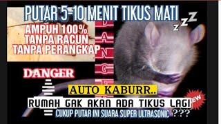 Suara pengusir tikus langsung mati | Rat and Cockroach trap