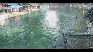 Pemandian Swimbath / Swembath / Sembat / Serbelawan Tebing-Siantar