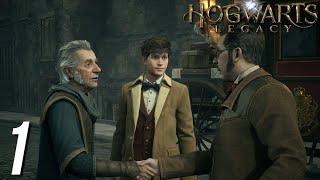 HOGWARTS LEGACY (ITA) - Parte 1: Il Nuovo Studente di Hogwarts