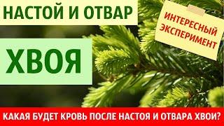 Кровь после настоя и отвара хвои