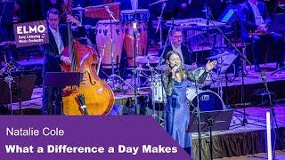 What a Difference a Day Makes (Natalie Cole) - ELMO Bigband feat. Johanna Iser