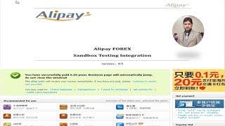 Alipay Integration