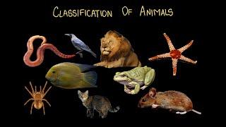 Classification of Animals | Classification of Living Organisms | Middle School |Science|Khan Academy