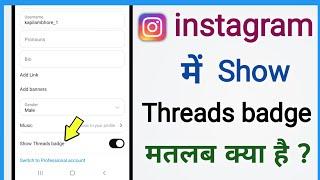 instagram main show threads badge ka matlab kya hota hai