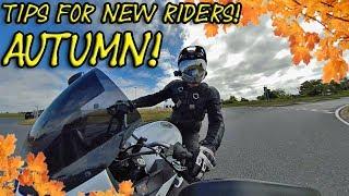 NEW RIDER TIPS: Autumn Riding!