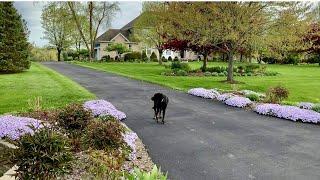 Garden tour: My front garden in early May