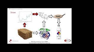 Monday webinar - the cage of Covariance