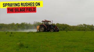 SPAYING THE SILAGE FIELD | RUSHES HAVE TAKEN A HOLD