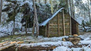 HUGE STORM Fell Trees on my Tiny Bushcraft Cabin