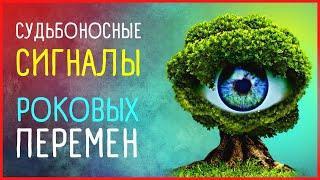 Скрытые послания. Что снится к переменам в жизни.