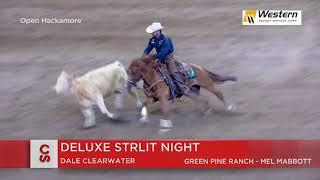 Calgary Stampede 2019 - July 12 - Working Cow Horse Hackamore Winning Run - Dale Clearwater