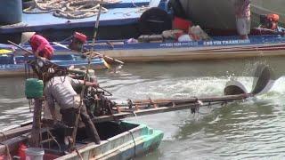 Thailand Long-tail boat VS Vietnam Long-tail boat เครื่องV8 ถือหางอย่างโหด ใบพัดใหญ่จัด!!