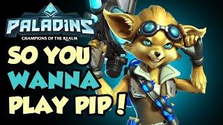 PIP DAMAGE CAN KEEP UP STILL! BUILD