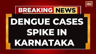 Over 7,000 Dengue Cases Reported In Karnataka This Year, Bengaluru Worst-hit