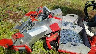 Wild Blueberry harvester