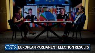 Unpacking the European Parliament Election Results