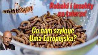 Insekty w natarciu! Co nam szykuje Unia Europejska?