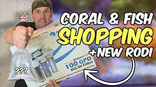 Saltwater Fish & Coral Shopping + New RODI System Install (Aquamaxx Puratek 100GPD w/Booster Pump)