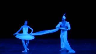 La Bayadère - Act III Scarf pas de deux & variation - Svetlana Zakharova, Nikolai Tsiskaridze