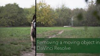 Remove moving objects from videos in DaVinci Resolve ( Fusion tab)