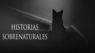 GUARDIANES DE LO PARANORMAL (RELATOS SOBRE GATOS)