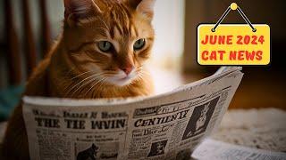 Cat-tastic News Alert! June 2024's Feline Headlines Revealed!