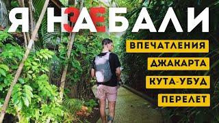 Я НА БАЛИ | Перелет, поиск жилья, впечатления!