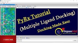 PyRx Tutorial || Multiple Ligand Docking || From Download to Result Analysis || All in One