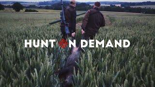 Weizensauen | Chancen nutzen! 3.0 – die ersten 6 Minuten @jagdkrone Hunt on Demand Trailer