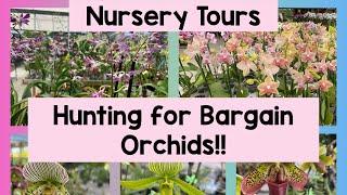 Nursery Shopping Tours - Hunting for Bargain Orchids in Miami!