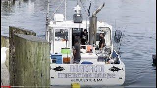 Wicked Tuna's Hard Merchandise Offloading a Tuna. August 1, 2024.