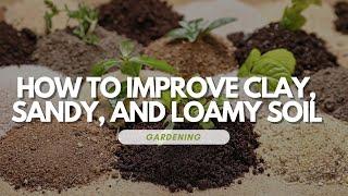 How to Improve Clay, Sandy, and Loamy Soil