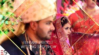 Elegant Particle Wedding Slideshow - Download After Effects Template/Project